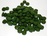Chlorella pyrenoidosa
