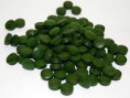 Chlorella pyrenoidosa